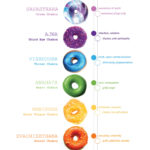 Energy Donuts Infographic Poster