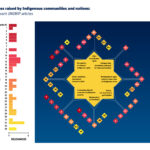 Map of Indigenous Issues and their Relevant UN Declaration on the Rights of Indigenous Peoples Articles for a publication by UArizona's Native Nations Institute